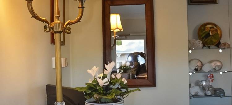 帕克海文汽车旅馆(Parkhaven Motel)图片