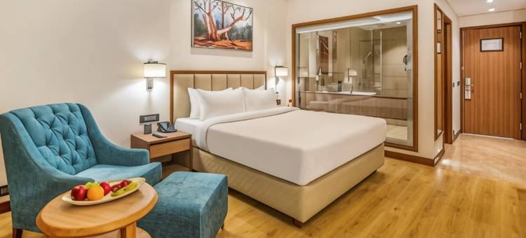 金色郁金香酒店贾兰达尔(Golden Tulip Jalandhar)图片