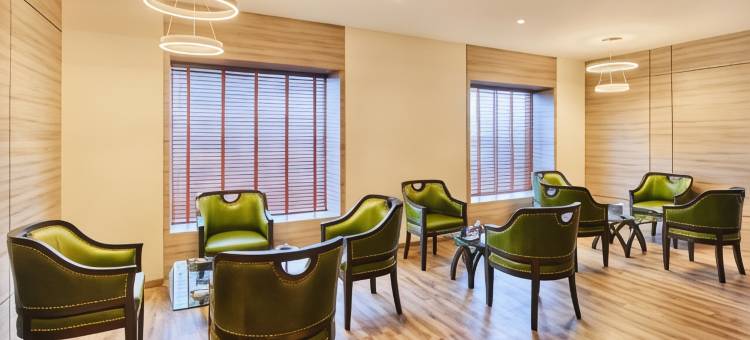 希钦特酒店(Hycinth Hotels)图片