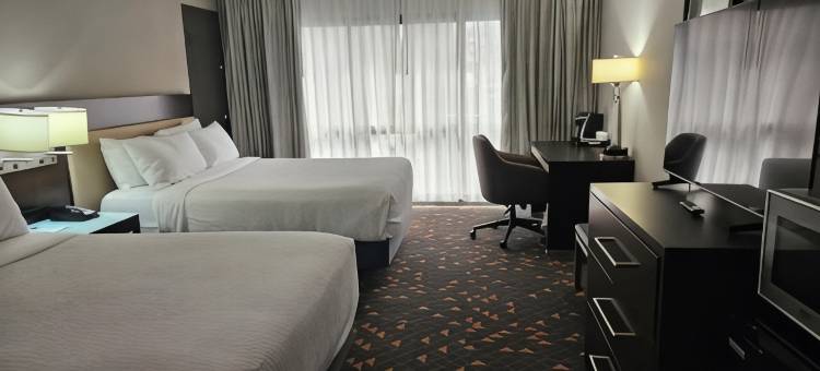 温德姆罗切斯特市中心酒店(Wyndham Rochester Downtown)图片