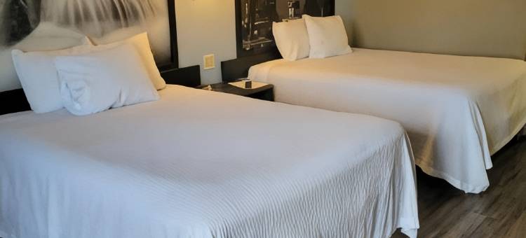 沙利文温德姆速8酒店(Super 8 by Wyndham Sullivan)图片