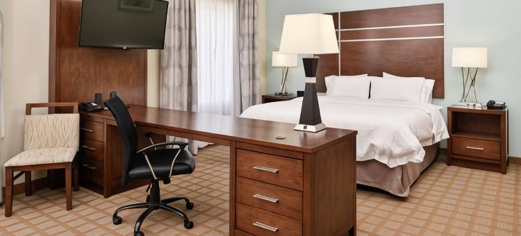 哈托欢朋酒店(Hampton Inn & Suites by Hilton Hutto Austin)图片