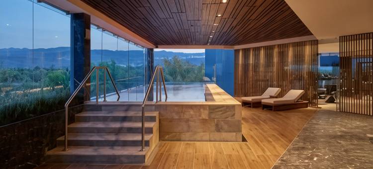 圣路易波托西美洲嘉年华酒店(Fiesta Americana San Luis Potosi)图片