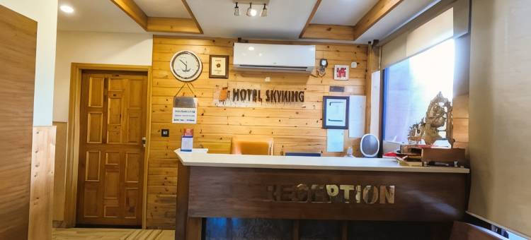 天空国王酒店(Hotel Skyking)图片