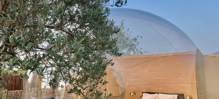 卡利格之夜(Noches de Calig)图片