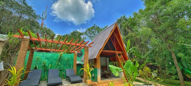锡吉里亚帕尔迈拉自然度假村(Palmyra Nature Resort Sigiriya)图片