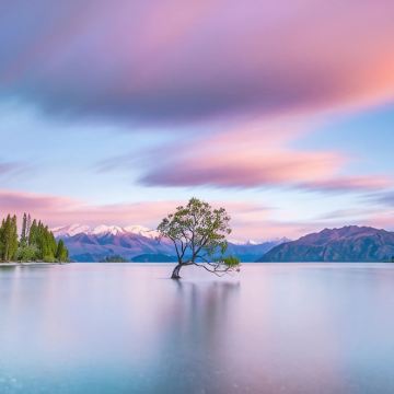 新西兰基督城+奥玛鲁+特卡波湖+瓦纳卡镇+箭镇+马松森湖+普卡基湖+城堡山+格雷茅斯8日7晚自由行