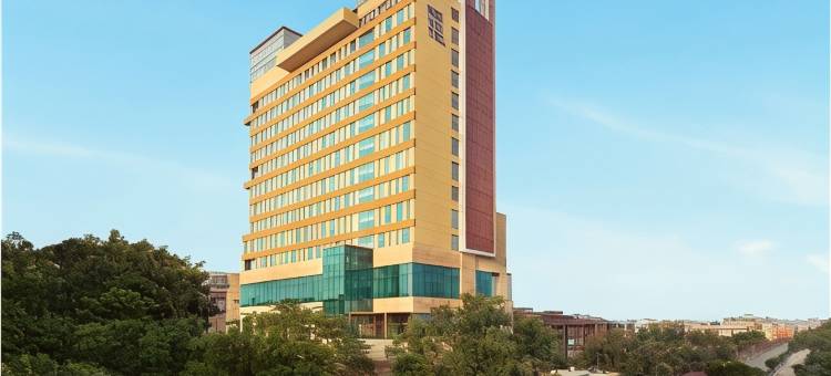 新德里市中心诺富特酒店(Novotel New Delhi City Centre)图片