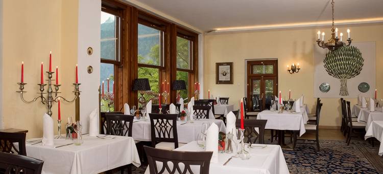 格鲁纳鲍姆酒店(Seehotel Grüner Baum)图片