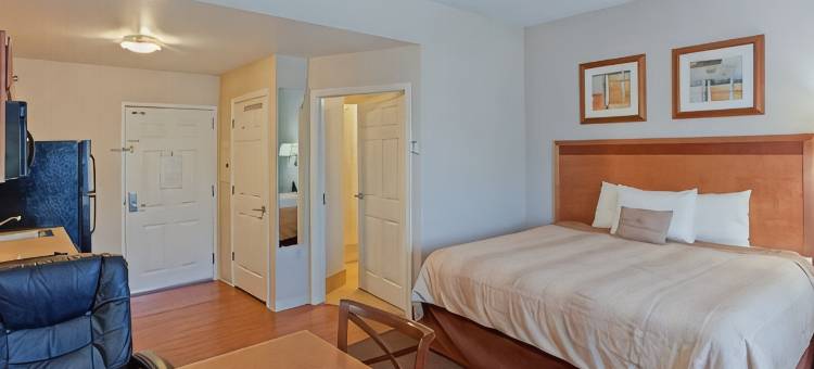 Candlewood Suites 温彻斯特(Candlewood Suites WINCHESTER by IHG)图片