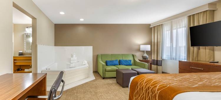 舒适酒店-斯普林菲尔德南(Comfort Inn South - Springfield)图片