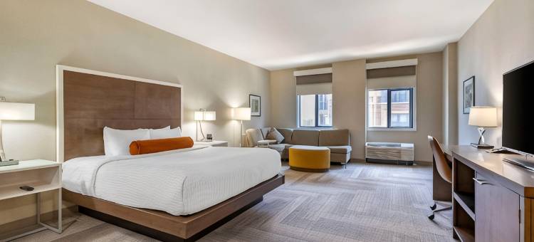 洛克维尔坎布里亚酒店(Cambria Hotel Rockville)图片