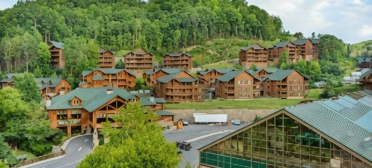 西门大烟山水疗度假村(Westgate Smoky Mountain Resort & Spa)图片