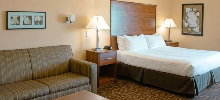 大福克斯Alerus中心康福特酒店及套房(Comfort Inn & Suites Grand Forks Near Alerus Center)图片