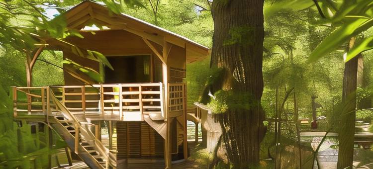 洛雷 SPA 生态小屋旅馆(Ecolodges de Loire & Spa)图片