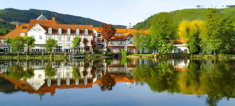 德恩罗塞恩弗勒伦乡村之家酒店(Landhaus Zu Den Rothen Forellen)图片