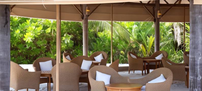 可可棕榈杜尼克鲁酒店(Coco Palm Dhuni Kolhu)图片