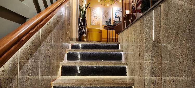 阿南达宝卡洛城市酒店(Hotel Ananda Bokaro City)图片