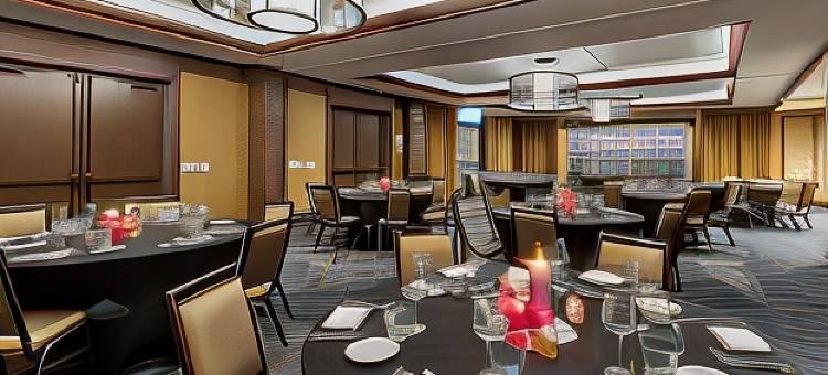 阿伦德尔米尔斯BWI机场坎布里亚酒店(Cambria Hotel - Arundel Mills BWI Airport)图片