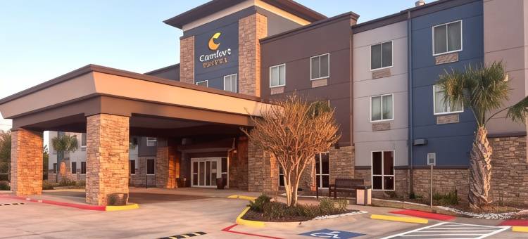 西布鲁克- 克马赫舒适套房酒店(Comfort Suites Seabrook - Kemah)图片