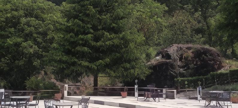 马修度假村(Mashoo Resorts)图片