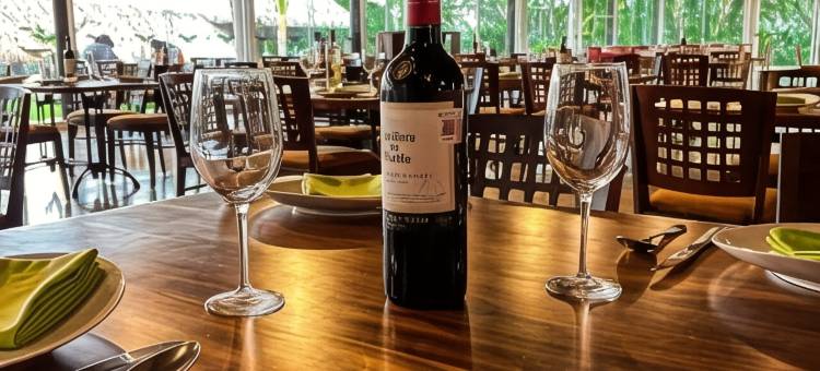 梅赛德斯帕伦克别墅酒店(Hotel Villa Mercedes Palenque)图片