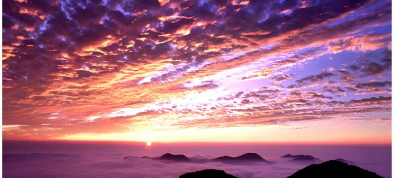 嘉义阿里山神木宾馆图片