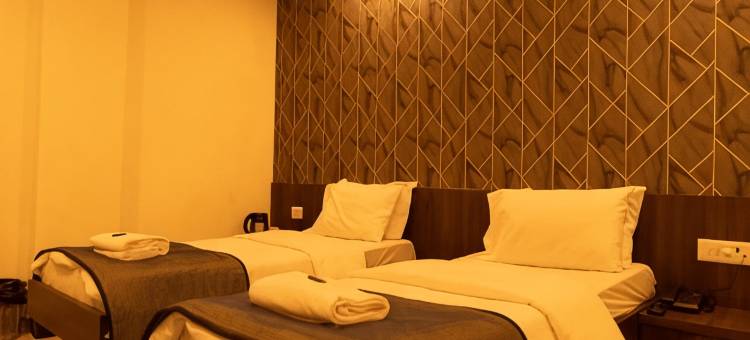 辉煌的纳特拉吉(The Flamboyant Natraj)图片