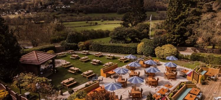 梅纳德(The Maynard)图片