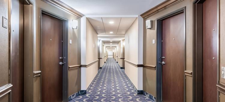 矿泉井城康福特套房酒店(Motel 6 Mineral Wells, TX)图片