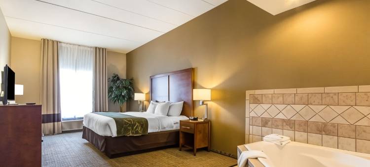 里奇蒙舒适套房酒店(Comfort Suites)图片