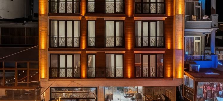 伊斯坦布尔老港酒店(Old Harbour Hotel Istanbul)图片