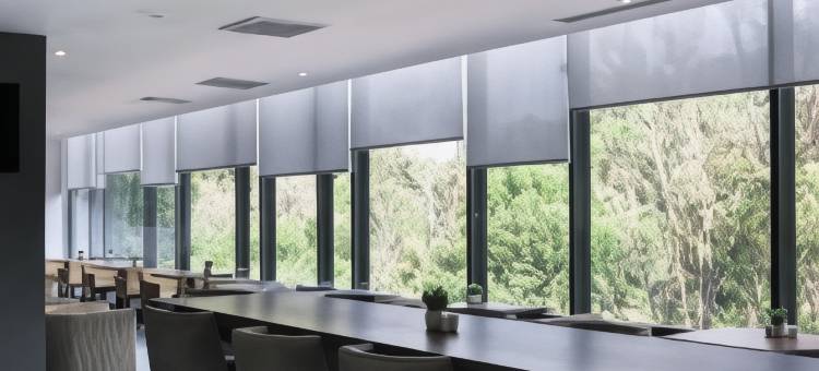 圣路易斯波托西希尔顿欢朋酒店(HAMPTON INN BY HILTON SAN LUIS POTOSI)图片