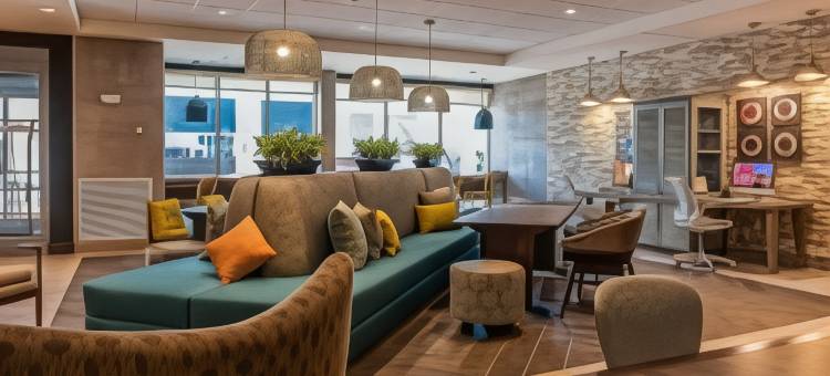 纳什维尔贝尔维尤希尔顿惠庭酒店(Home2 Suites by Hilton Nashville Bellevue)图片