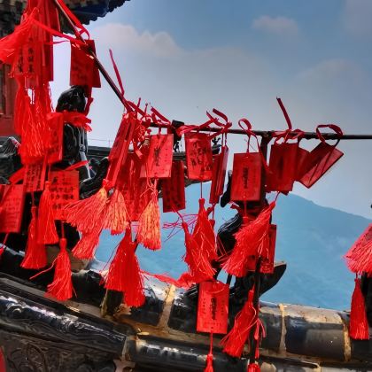 河南郑州+洛阳+开封+老君山+少林寺+云台山9日8晚跟团游