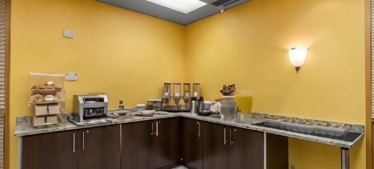 湾前品质酒店及套房(Quality Inn & Suites Bay Front)图片