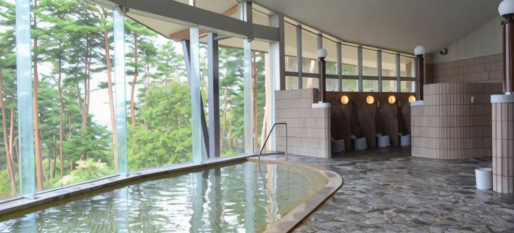 松风宫殿酒店(Palace Shofu)图片