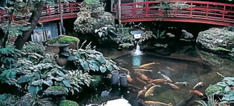 弥彦館 冥加屋旅馆(Yahikokan Myogaya)图片