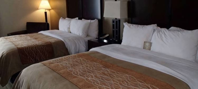 舒适酒店(Comfort Inn)图片