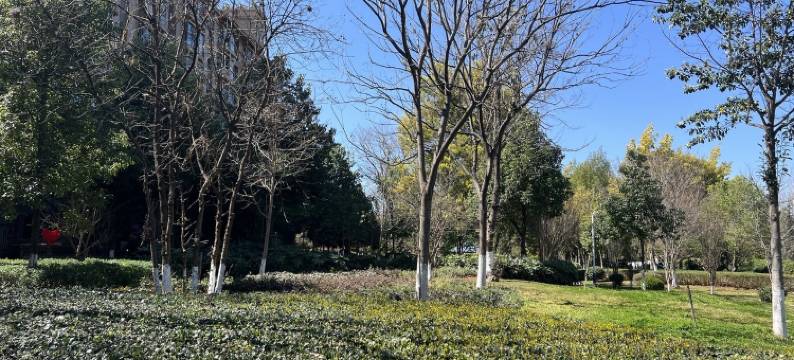 KM遇见池畔公寓(海宏路分店)图片