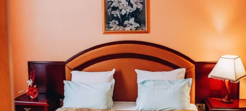 商务中心酒店(Gostinichny Kompleks Siun)图片