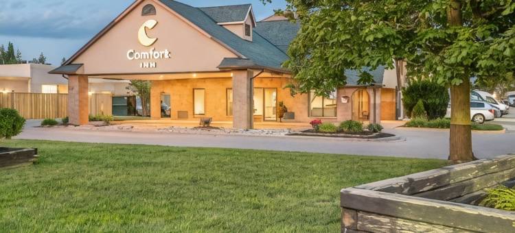 舒适酒店(Comfort Inn)图片