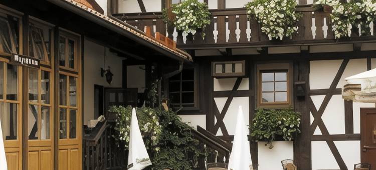 希尔施高登纳酒店(Hotel Goldener Hirsch)图片