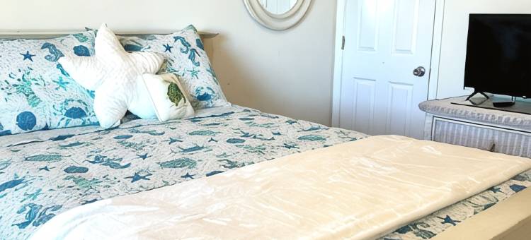 蔚蓝之间 - 海滨2卧2卫公寓，带泳池(Between The Blue - Oceanside 2B/2B Condo w/ Pool)图片