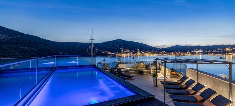 海滨豪华别墅维尼舍(Beachfront Luxury Villa)图片
