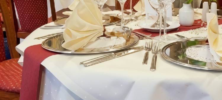 西南公园诺威纳酒店(Novina Hotel Suedwestpark Nuernberg)图片