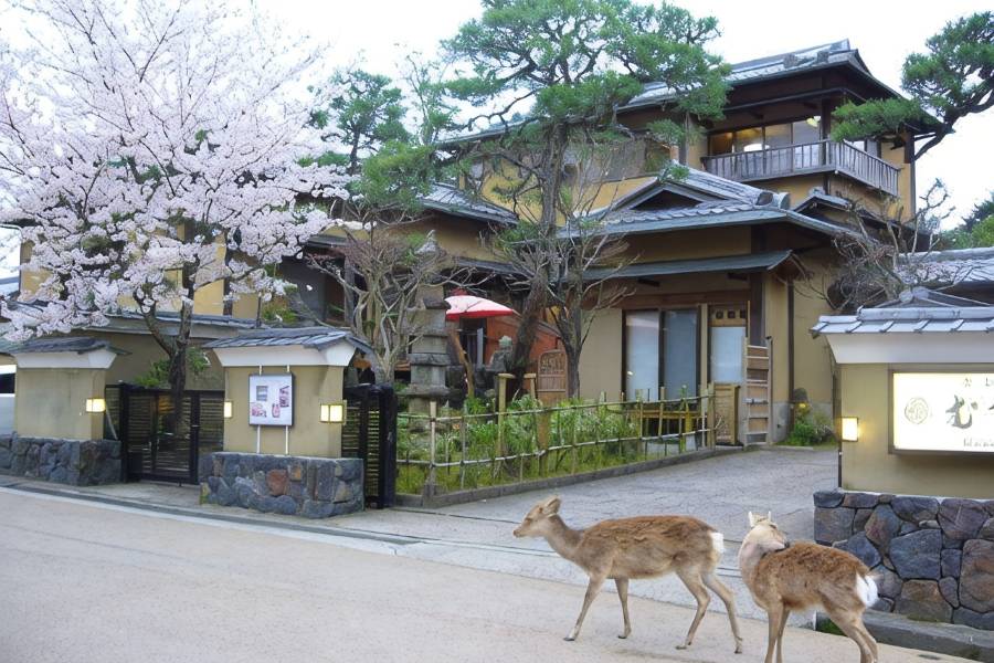 武藏野古都旅館