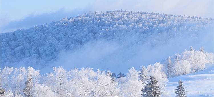 雪谷丁子涵时尚家庭旅馆图片