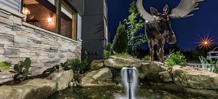 马塔讷凯艺套房酒店(Quality Inn & Suites)图片