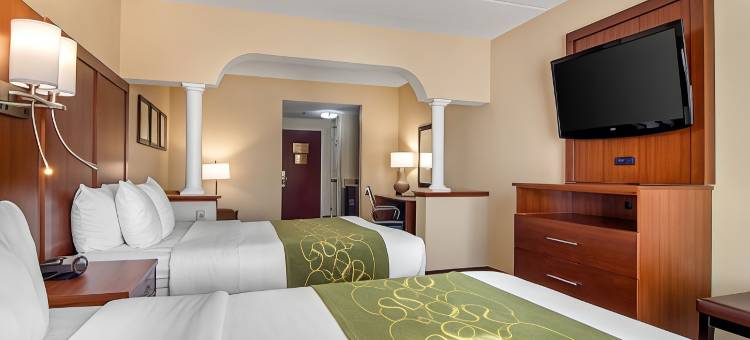 伍德斯托克舒适套房酒店- 亚特兰大北(Comfort Suites Woodstock - Atlanta North)图片